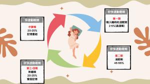 睡眠週期:非快速動眼期(NREM)、快速動眼期(REM)
