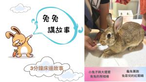 3分鐘床邊故事:龜兔賽跑、兔哥兒的紅眼睛、小兔子與大猩猩、兔兔的照相機